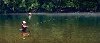 ©2020 by shoals sound & service. Bull Shoals Lake Forecast