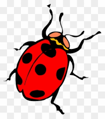 Red Ladybug Clipart Transparent Png Clipart Images Free Download Page 3 Clipartmax Normal mode strict mode list all children. red ladybug clipart transparent png
