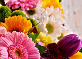 Fresh cut flowers free delivery. Herzlichen Gluckwunsch Zum Lehrertag Widerstrahl