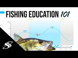 Fishing How To Understanding Tidal Coefficient Barometric