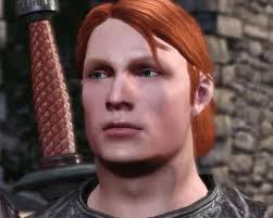 The Fall of Highever (Dragon Age Origins Cousland Complete Fan Fiction)