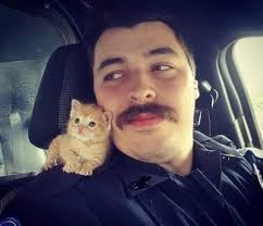 Man rescues cat nailed to tree in Kentucky