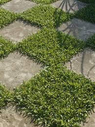 How To Create A Chessboard Patio Hgtv Garden Garden Layout Outdoor Gardens