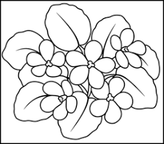 Grab your colored pencils and crayons, because we have some beautiful violet coloring pages for you. Flowers Coloring Pages Coloring Pages Colorful Drawings Easy Drawings