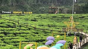 Darungan, kemuning lor, arjasa, kabupaten jember, jawa timur 68191. Foto Belum Move On Liburan Ayo Ke Jember Foto 3