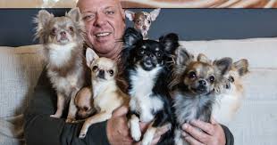 We did not find results for: Wie Is Peter Gillis De Man Van De Vakantieparken Die Overal Foxwild Van Wordt Brabant Bd Nl