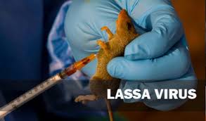 Image result for Lassa Fever