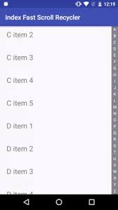 Alphabetindex Fast Scroll Recyclerview Example2 通信录显示 缩略图 省略图 Scroll Bar Android Library Scroll