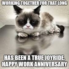 Maybe you would like to learn more about one of these? Working Together That So Long Has Been A True Joyride Happy Work Anniversary Grumpy Cat Office Meme
