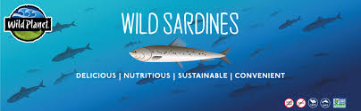 Plump whole sardine in olive oil wild caught sustainably fished / hand packed bpa free / glutenfree natural source of omega 3 oils. Amazon Com Wild Planet Wild Sardines In Water With Sea Salt Keto And Paleo 4 4 Ounce Pack Of 12 Packaged Meats And Seafoods Grocery Gourmet Food