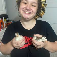 Any one have laying hens 8-10 month near Grayson county ?