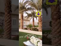 استراحة ديم جدة استراحة قاعة مسبح العاب الحمدانية استراحات جدة العاب زواجات ملكة Youtube