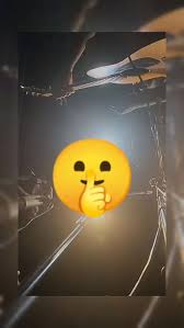 Nemaro upcoming album release and fan expectations