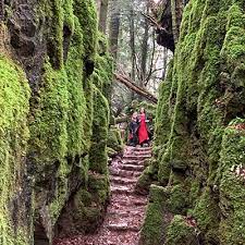 Mise à jour du 29 mars : Puzzlewood Blog
