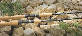 Read and compare experiences fishermans have had with avid pearl rod. Buy St Croix Rods Avc90hm2 Avid 2 Piece Carbon Salmon And Steelhead Casting Fishing Rod With Ipc Technology 9 Feet Carbon Pearl Online In Greece B000vtrkwg