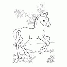 200 x 267 jpg pixel. Kleurplaat Van Een Paard Printen Leuk Voor Kids