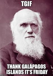 Tgif meme happy friday funny. Happy Friday Imgflip