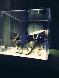 Totally Love The New Led Light Box From Ikea That I Bought For The Boys Room Simple Perspex Box You Put In It Whatever You Fancy