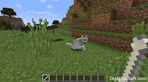 B:howl_at_moon=false* set tamed wolf hunger option (disabled/heal/full): How To Tame A Wolf In Minecraft