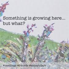 A Six Word Story Prompt Seedlings Something Is Growing Here But What Six Word Story Six Words Words