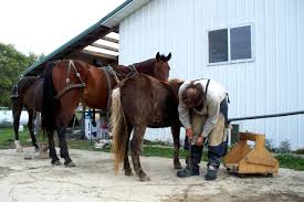 Visitors take in the sights of annual Spoon River Drive