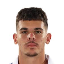 Marius Florian Ciobanu-Vanghele