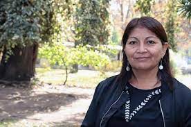Maybe you would like to learn more about one of these? Elisa Loncon Academica Fahu La Violencia Mal Entendida Para Seguir Explotando El Wallmapu Universidad De Santiago De Chile