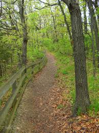 Maybe you would like to learn more about one of these? Buffalo Rock State Park Illinois Planned Spontaneity