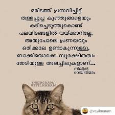 Need to translate dating to malayalam? Feed Word Malayalam Meaning