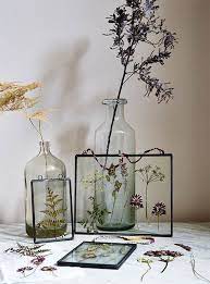Ciertos árboles también se consideran ornamentales cuando se utilizan. Plantas Y Flores Enmarcadas Flores Secas Decoracion Flores Secas Decoracion De Unas