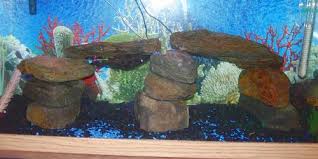 Powerful and easy to use. Diy Cichlid Lava Rock Caves Myfishtank Net Forum