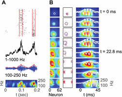 26th Annual Computational Neuroscience Meeting Cns 2017 Part 2 Springerlink
