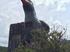 「ヤンバルクイナ 展望台」の画像検索結果