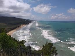 We did not find results for: Strand Meinapulien