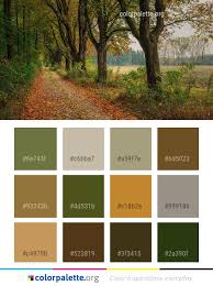 Nature Woodland Tree Color Palette Colors Inspiration Graphics Design Inspiration Beautiful Colorpalette Palet Create Color Palette Color Palette Color
