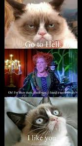 Grumpy Hocus Pocus Funny Grumpy Cat Memes Grumpy Cat Quotes Funny Cat Memes