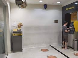 My home hotel prima sri gombak is a smart choice. Siapa Yg Biasa Pergi Maybank Taman Muhammad Faiz Razali Facebook