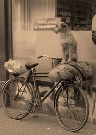 Blog Archive Los Mejores Amigos Del Hombre Vintage Hund Hund Fahrrad Tiere Hund