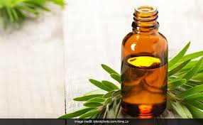 It can help remove the bacteria, viruses, and fungi that have gotten. 8 Amazing Benefits Of Tea Tree Oil For Your Skin And Hair Ndtv Food