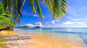 Maybe you would like to learn more about one of these? Desktop Wallpaper Beach 4k Novocom Top