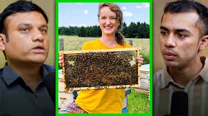 Earn ₹1 Lakh from Honey Farming 🐝