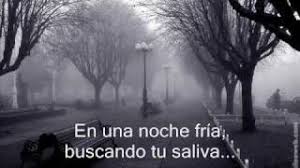 Alejandro Fernandez Se Me Va La Voz Con Letra Youtube