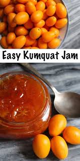 Kumquat Jam Recipe Kumquat Recipes Kumquat Marmalade Recipes Food