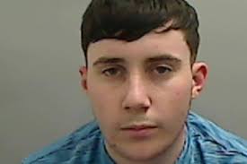 Norton family left devastated after pet ferrets stolen during a burglary