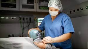 Dokter di singapura berdasarkan spesialisasi. 15 Karir Membayar Tinggi Di Texas Pada Tahun 2021 Rentang Gaji