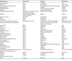 Image result for Lannea edulis