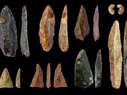 Coronaviren sind schon seit den 1960er jahren bekannt. Der Erste Homo Sapiens In Europa