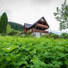 Irina loghin bradului la munte i place revelion 2004. Cabana Munte Lunca Bradului Revngo Com