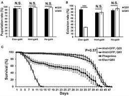 Frontiers Expression Of Human Mutant Huntingtin Protein In Drosophila Hemocytes Impairs Immune Responses Immunology