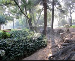 mill creek zanja sankey sylvan park redlands ca www metronissanredlands com redlands san bernardino mountains beautiful places mill creek zanja sankey sylvan park